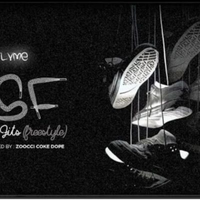 Flvme The Shoe Fits Mp3 Download
